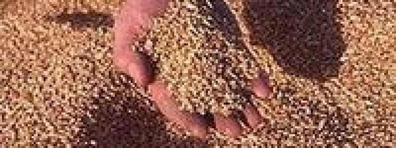 СП «Сельскохозяйственные услуги» оптовая продажа продуктов питания